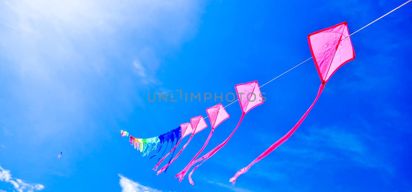 colorful of kites in the blue sky