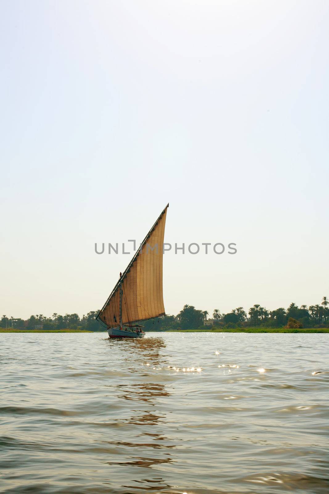 Faluka on the Nile river in evening time, Egypt
