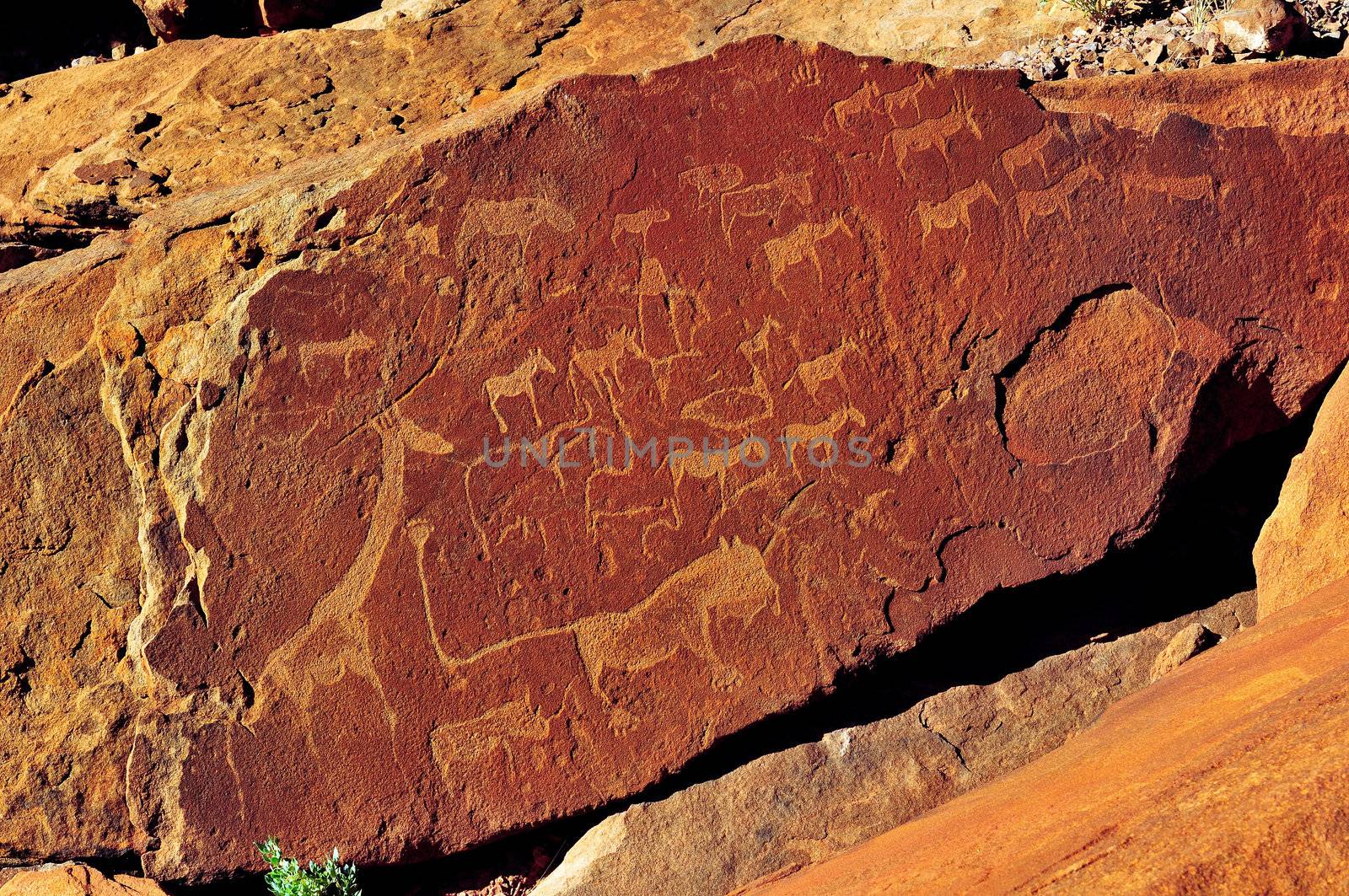 Rock engravings at Twyfelfontein, Namibia, a World Heritage site