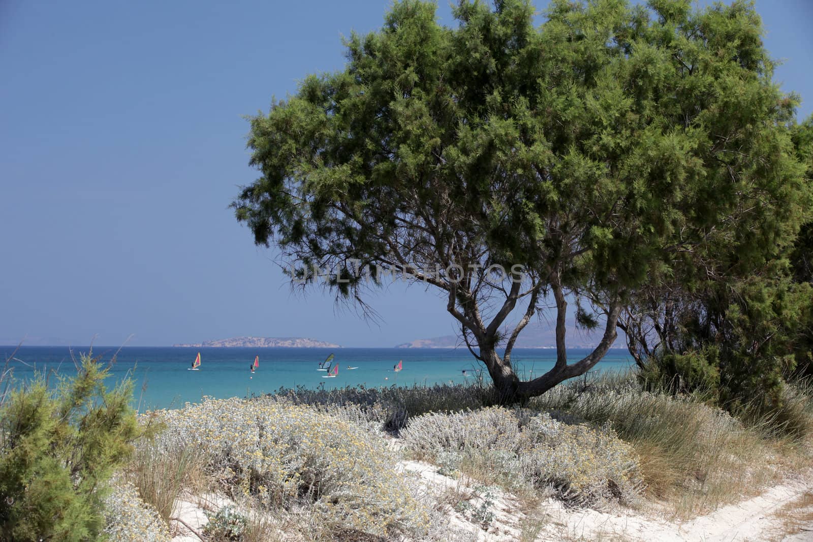Mastichari beach on Kos Island, Dodecanese
