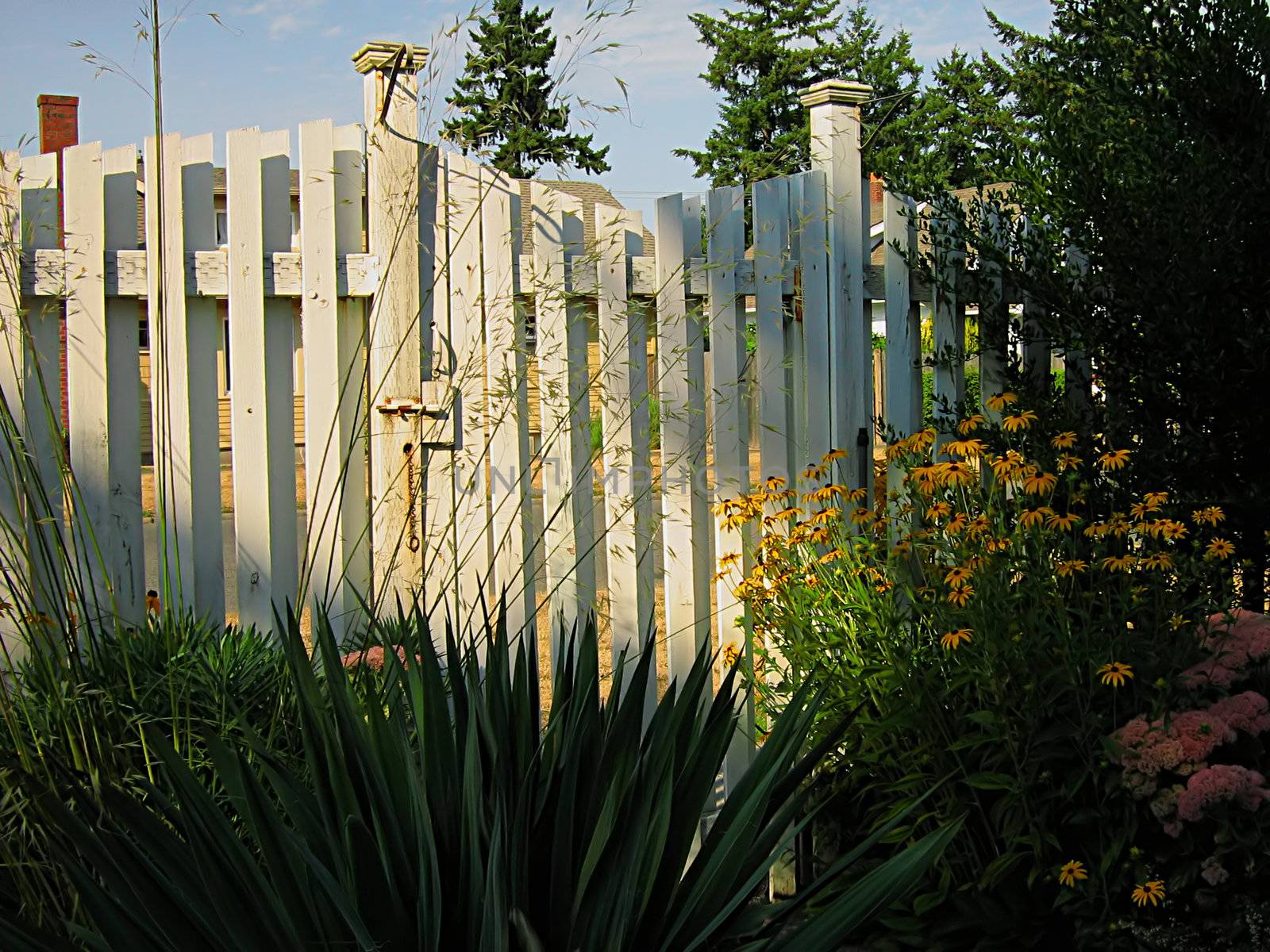 Garden Fence by llyr8