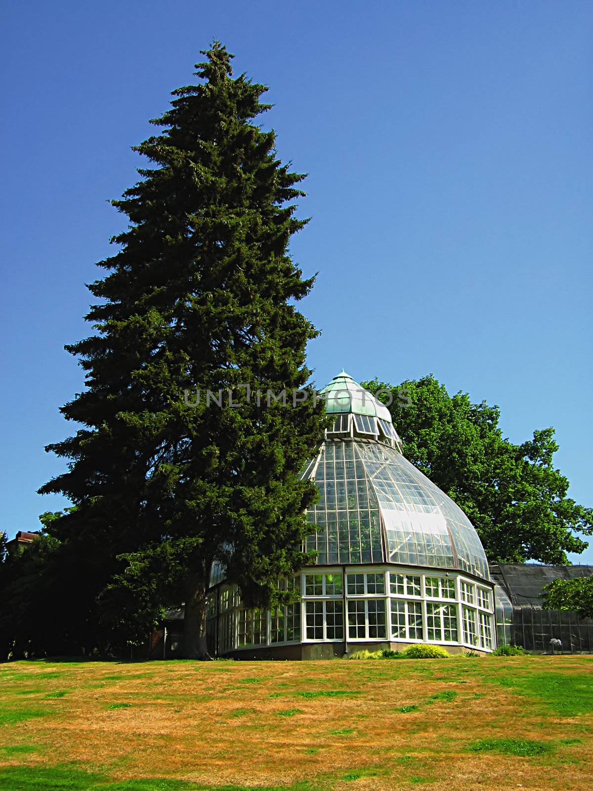 A photograph of a greenhouse located in a public park.