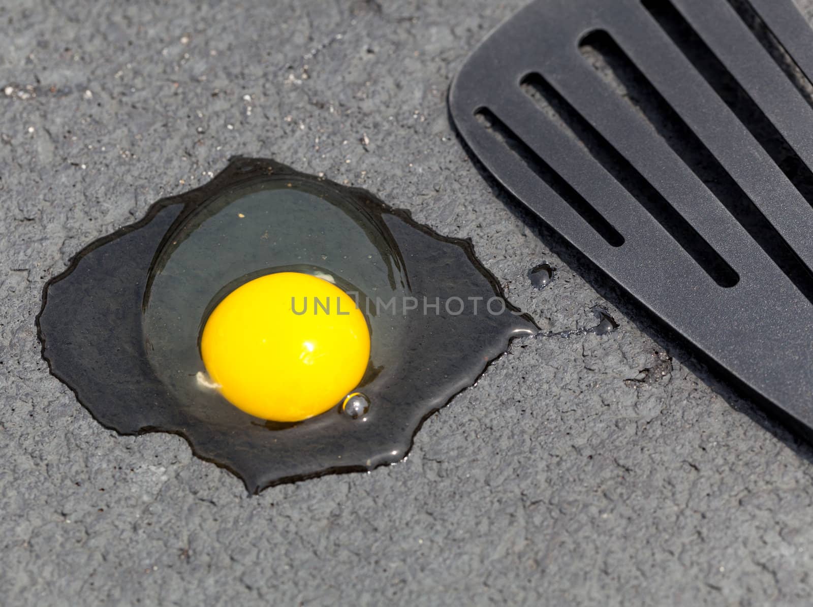 Breaking egg onto hot road surface to see if it fries in summer