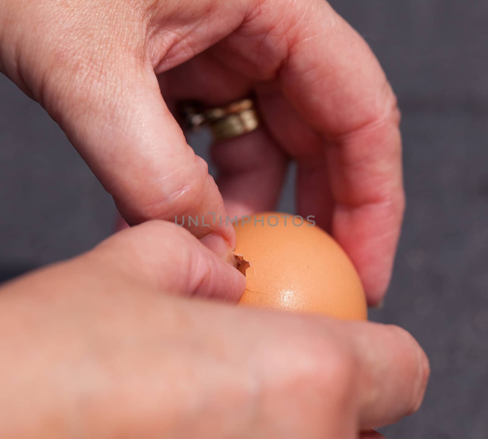 Brown egg being cracked and opened by female hands