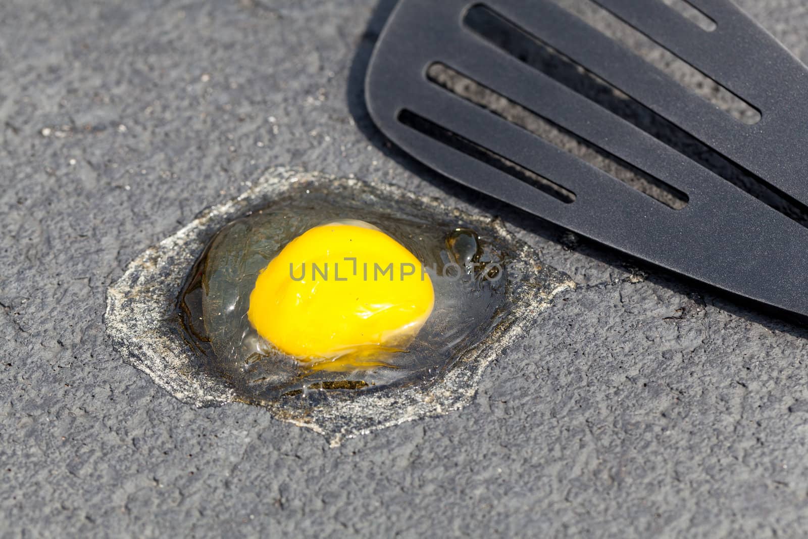 Breaking egg onto hot road surface to see if it fries in summer