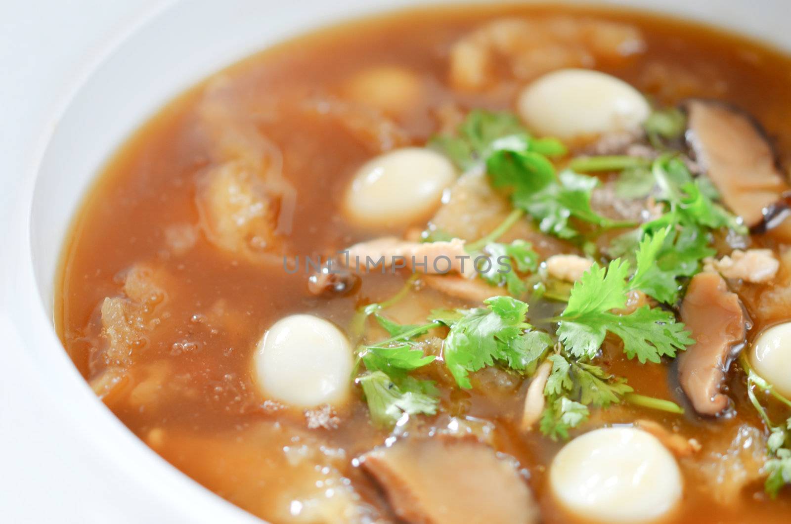 close-up of Chinese fish maw soup ,  nourishing and hearty