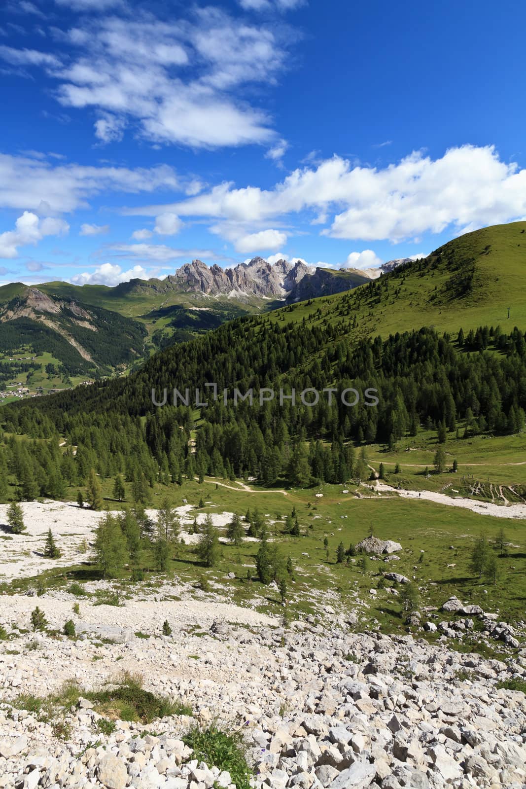 summer landscape of Gardena valley, Alto Adige, Italy