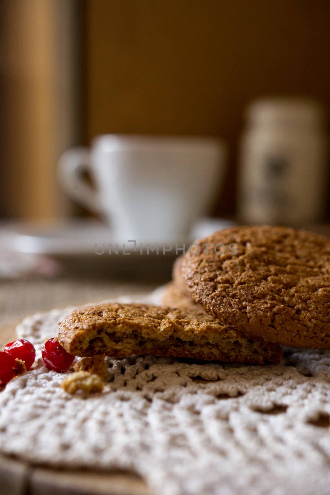 Crumpled tasty oatmeal cookies with cranberries on knitting cloth. Shallow DOF