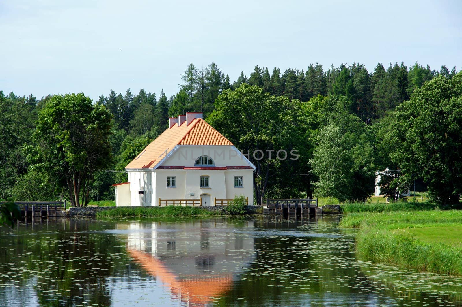 Landscape with houses and a  forest on coast of a pond