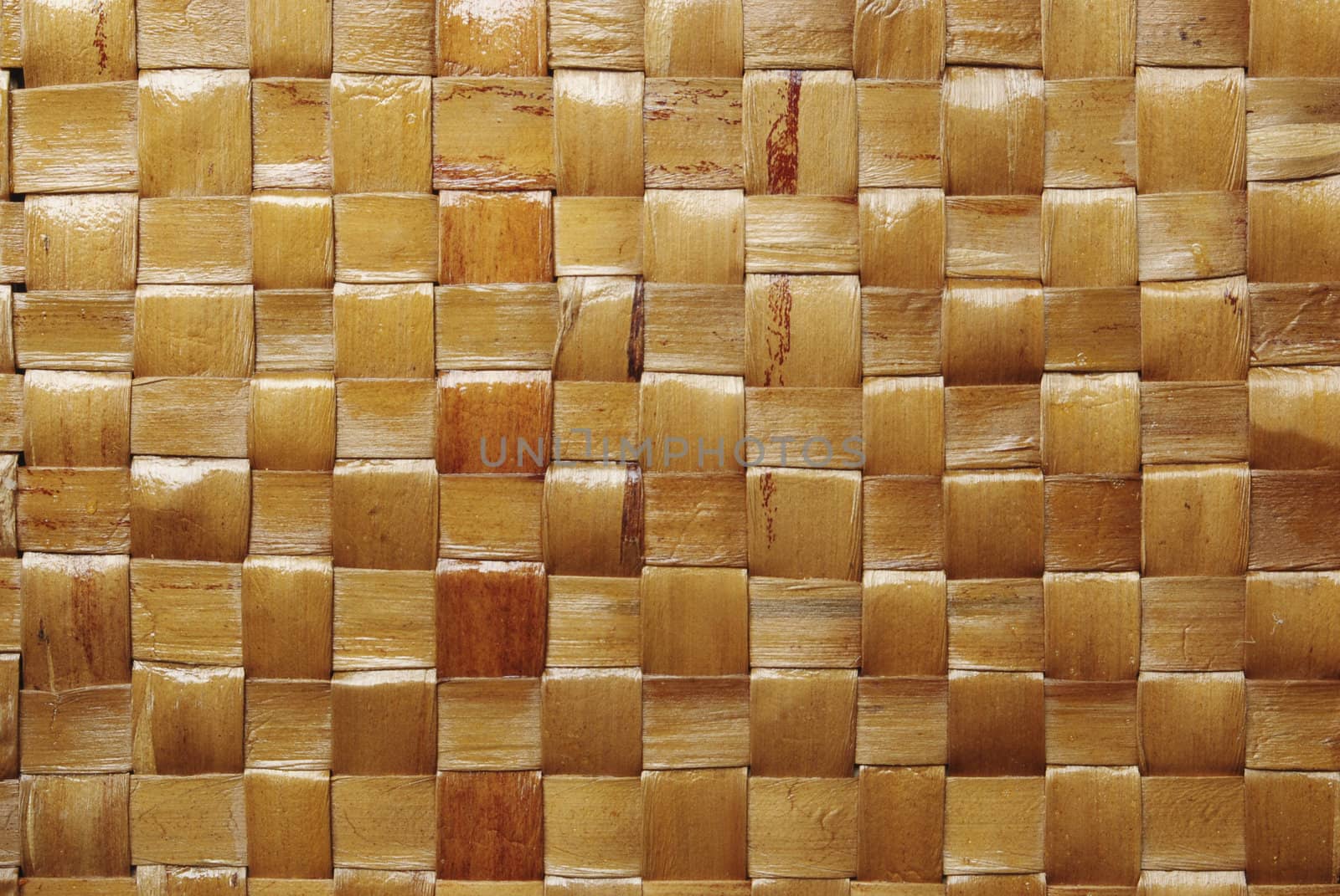 bamboo background