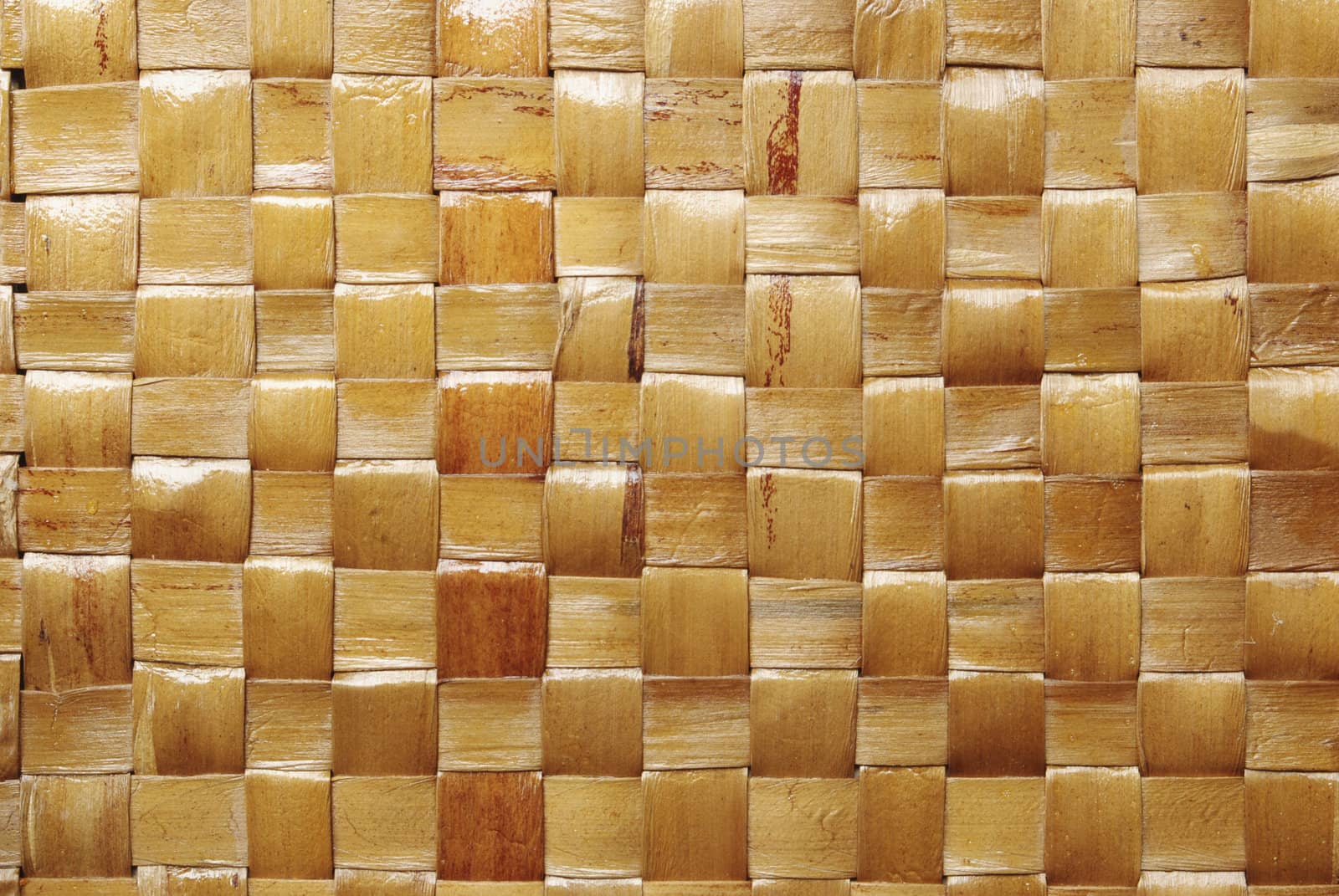 bamboo background
