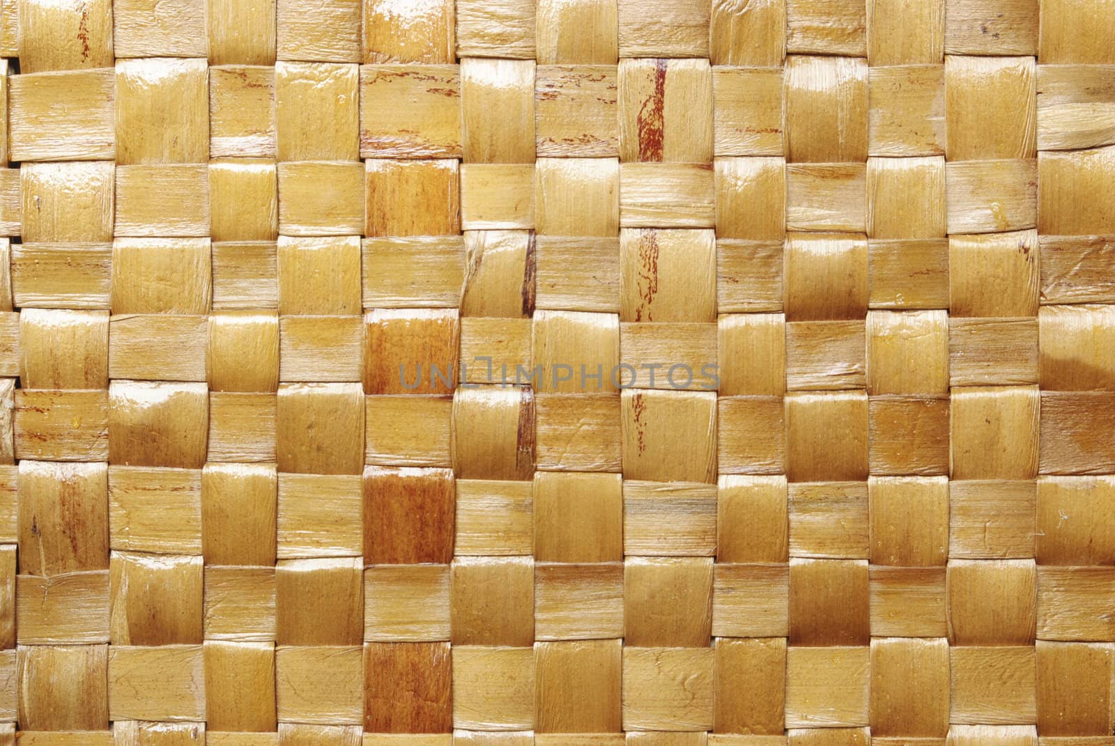 bamboo background