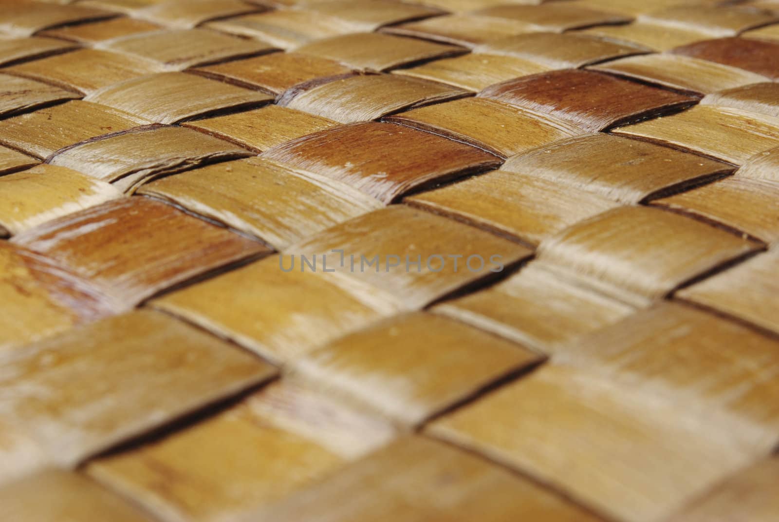 bamboo background