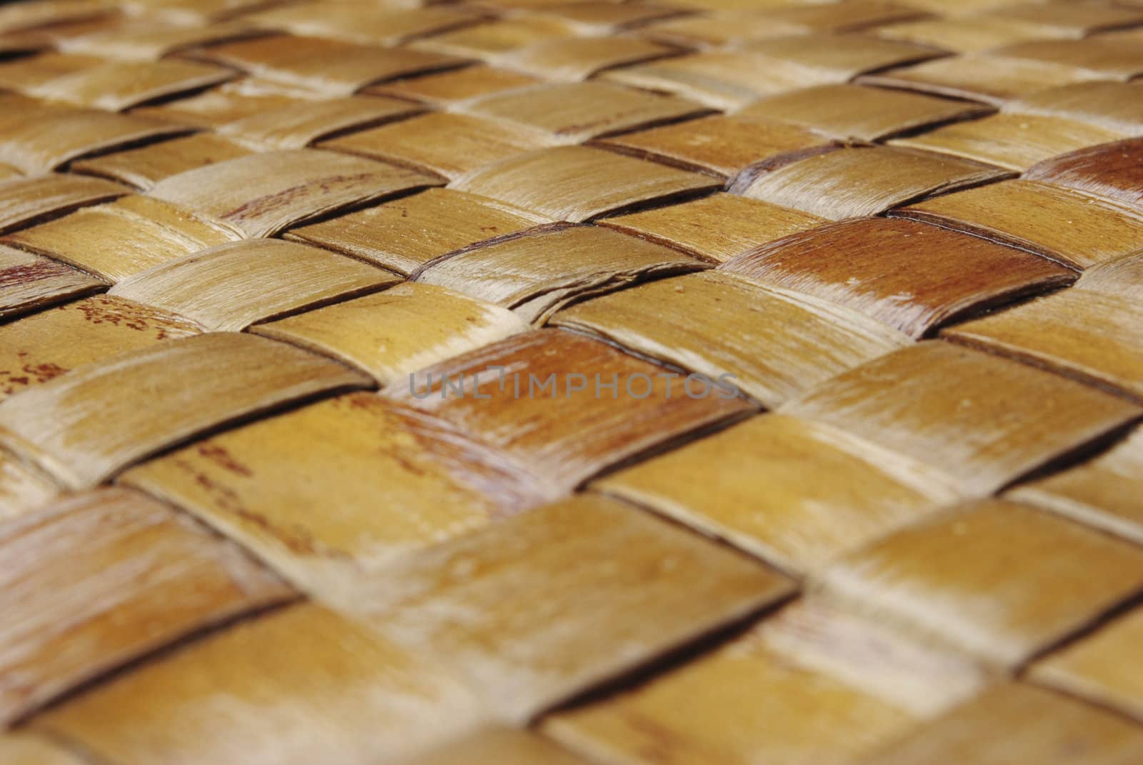 bamboo background