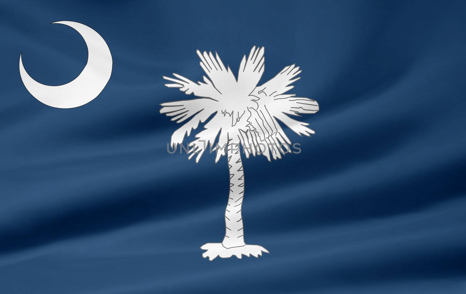 Flag of South Carolina by joggi2002