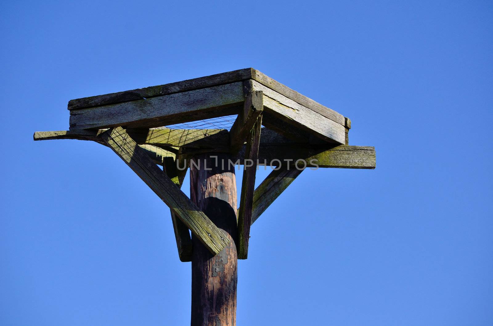 Osprey Nest Platform by brm1949