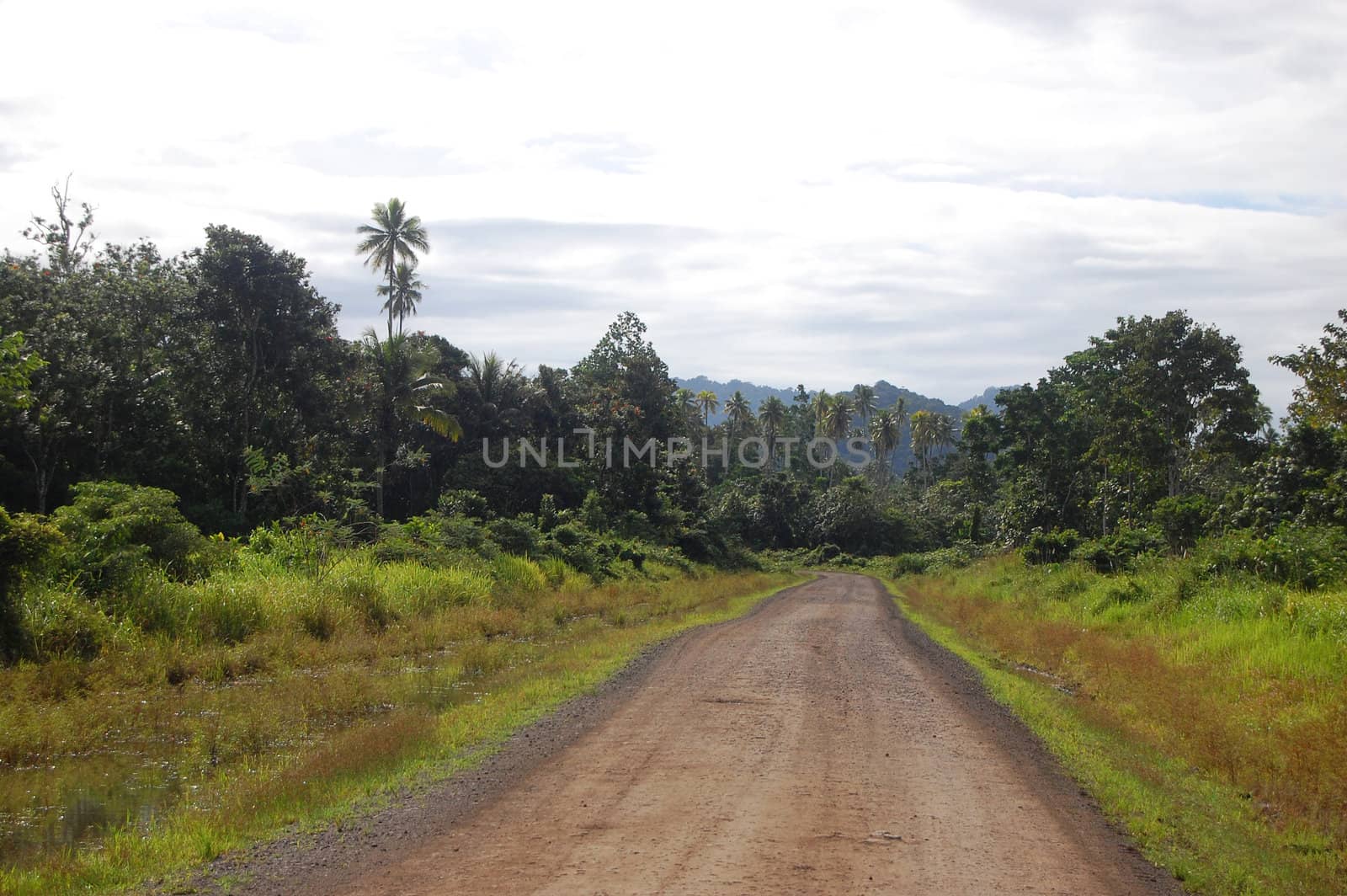 Gravel road in jungles Papua New Guinea by danemo