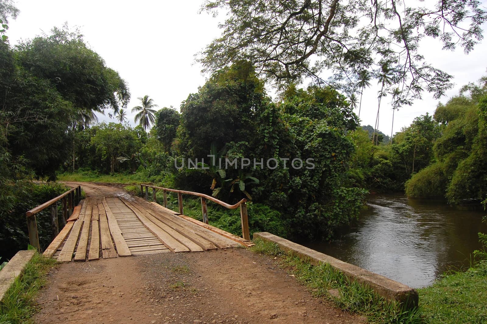 Timber bridge in Papua New Guinea by danemo