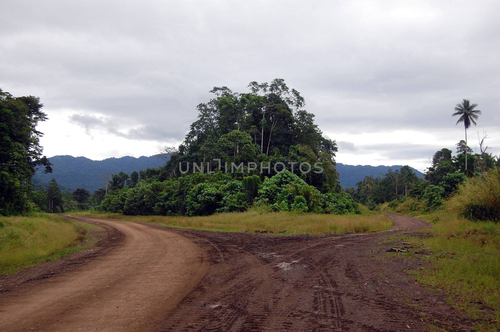 Road junction in outback Papua New Guinea by danemo