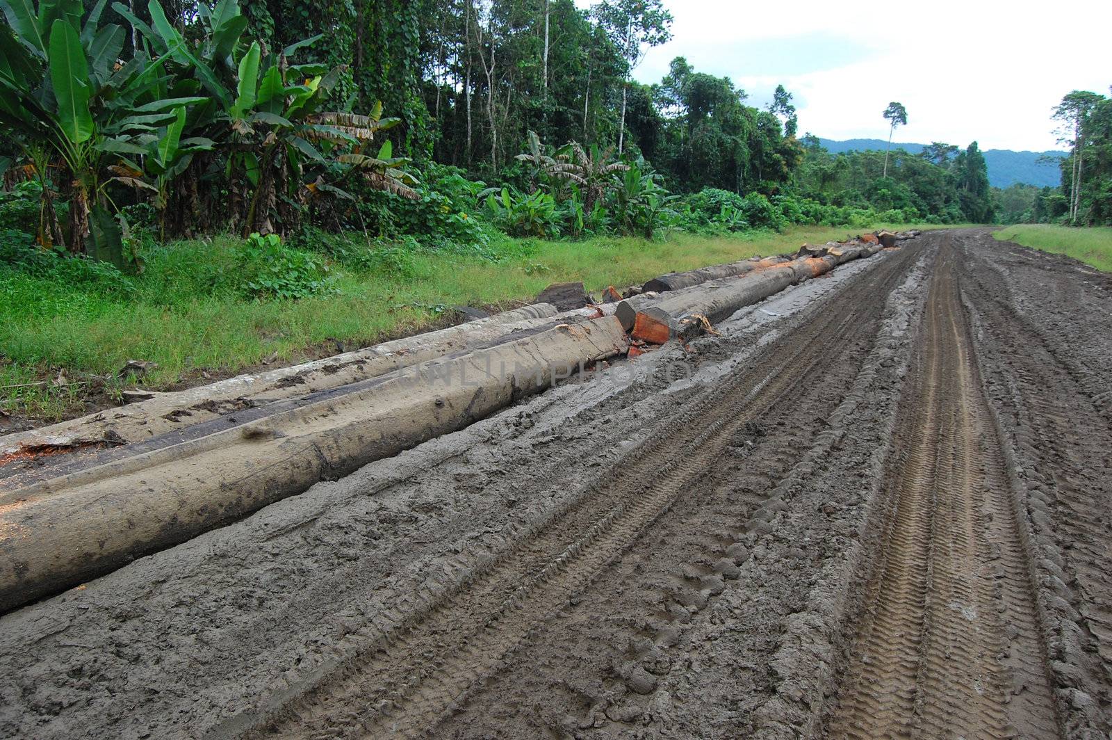 Haulage road in outback of Papua New Guinea by danemo