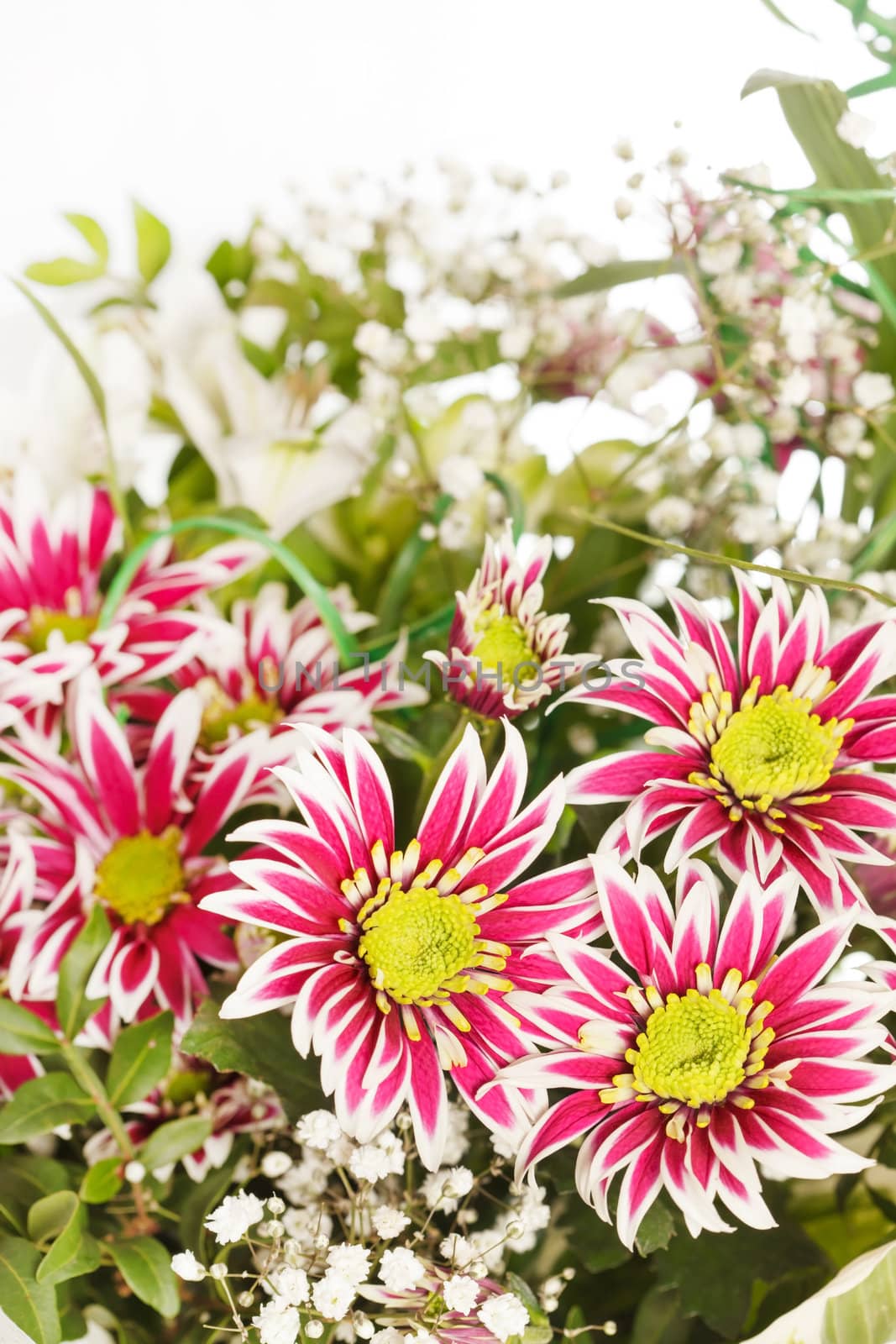 bouquet of colorful flowers 