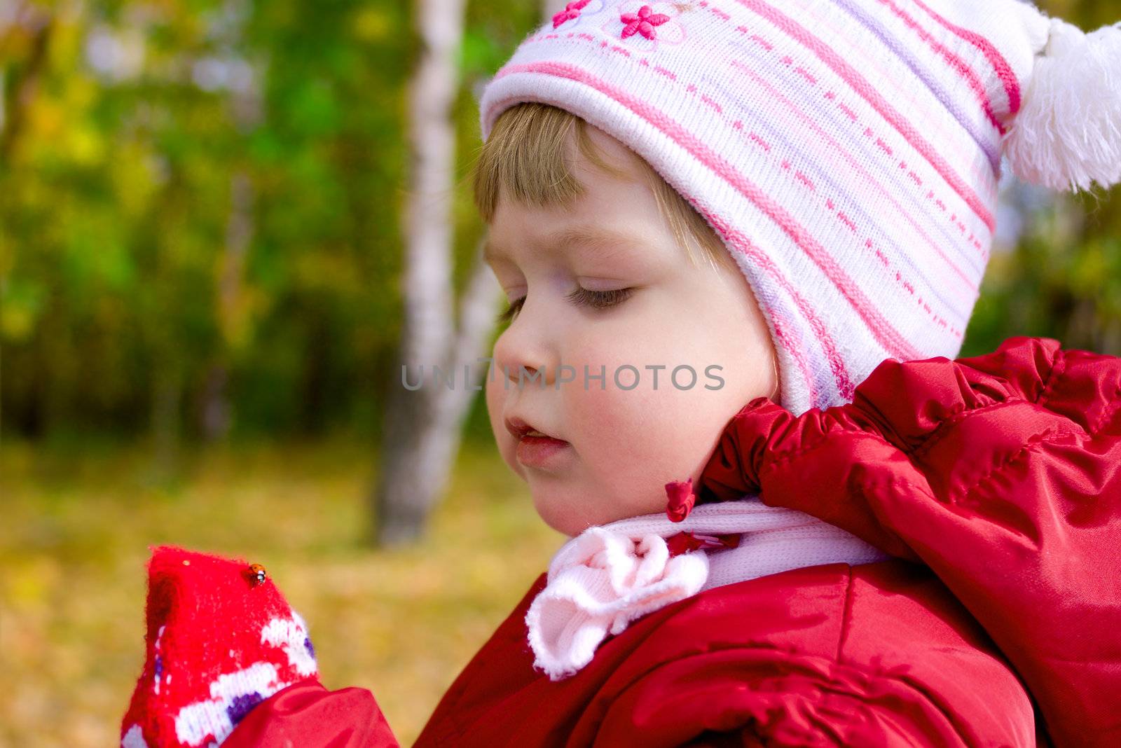 Little girl look to ladybird