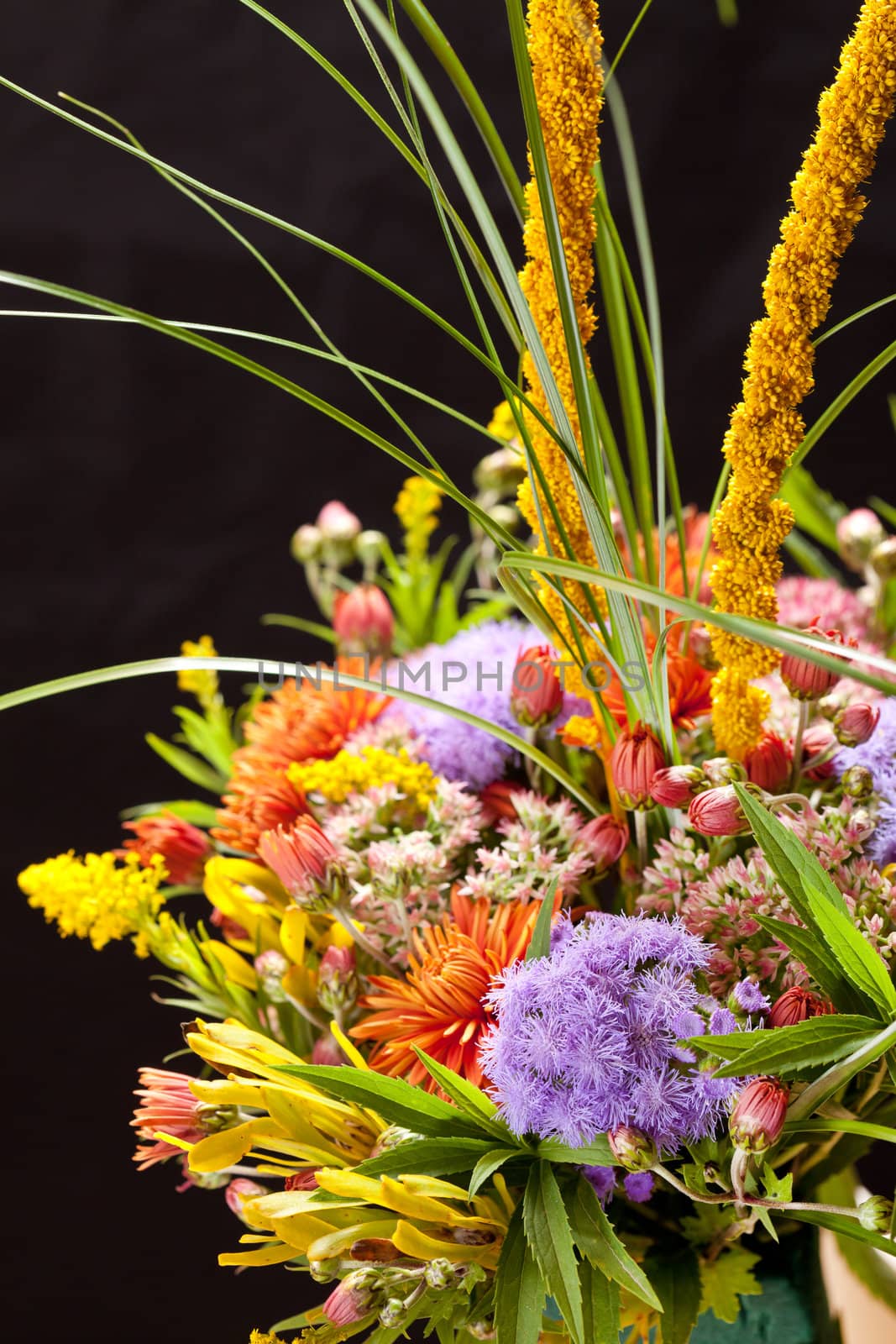 bouquet of colorful flowers  by shebeko