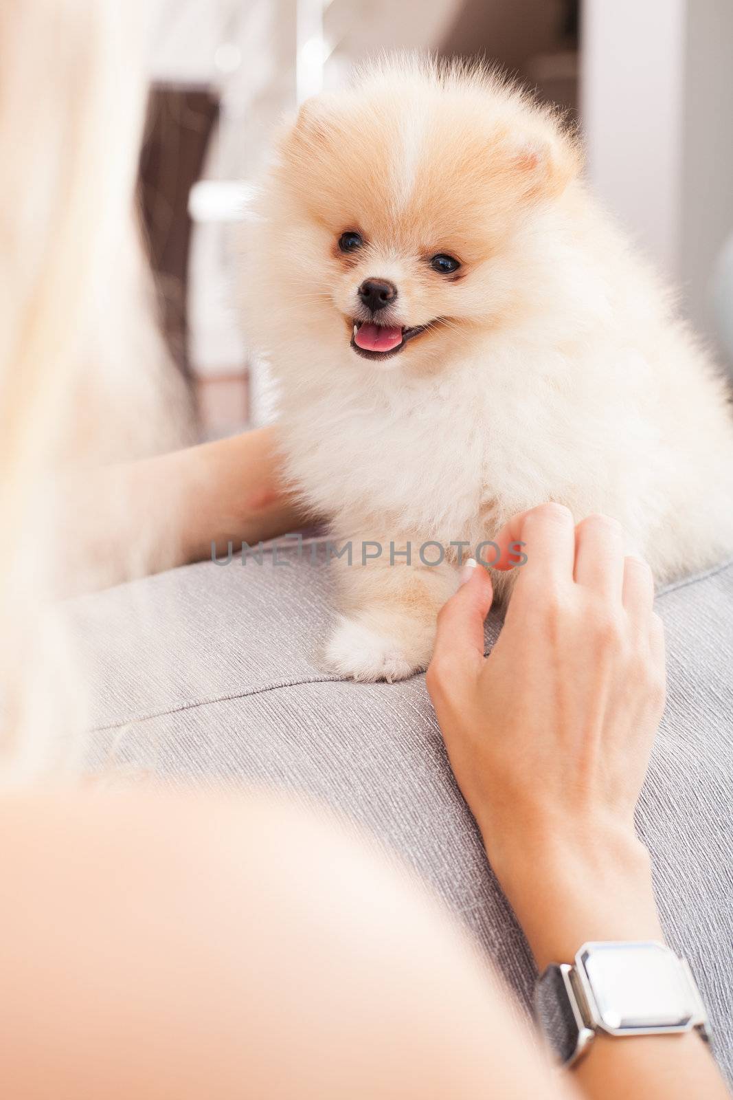 young woman playing with her tinny dog