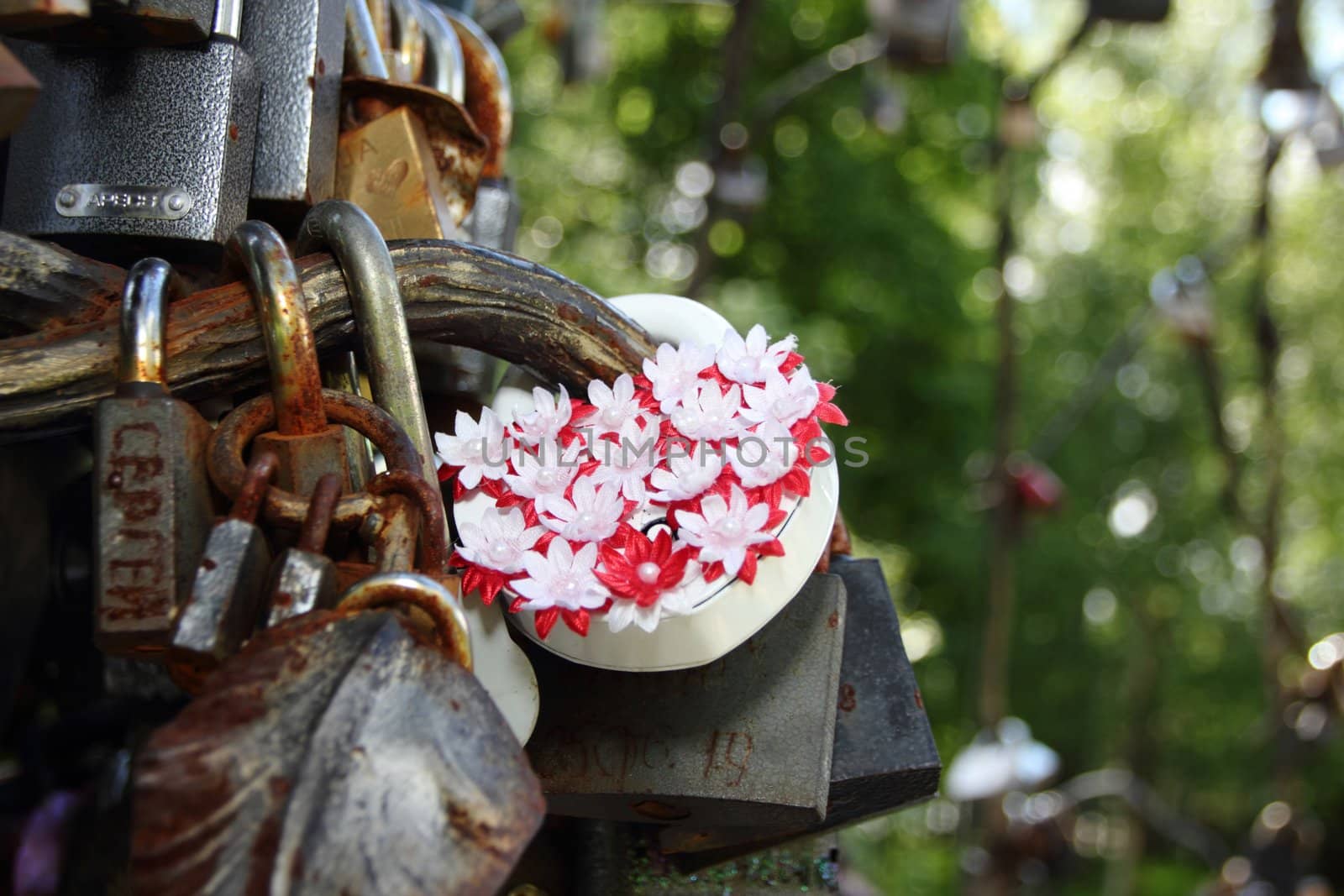 beautiful lock  with flowers on the tree of love in the red and white