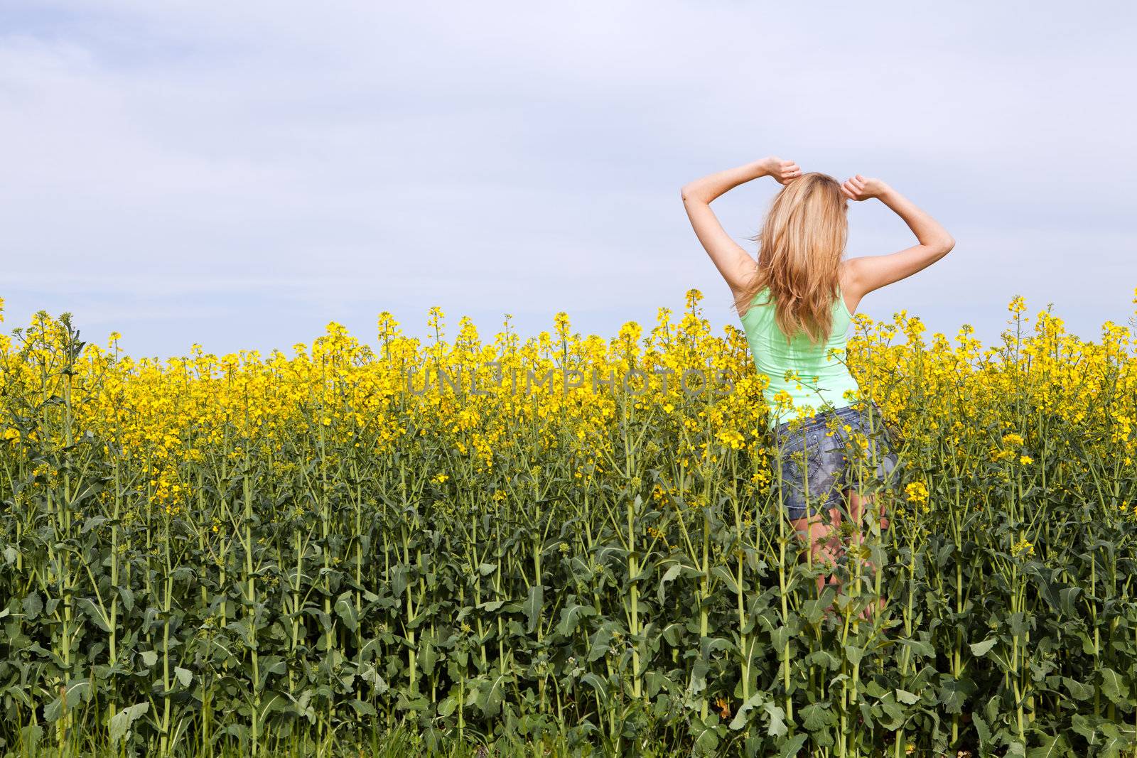 beautiful blonde girl in a field in summer  by juniart