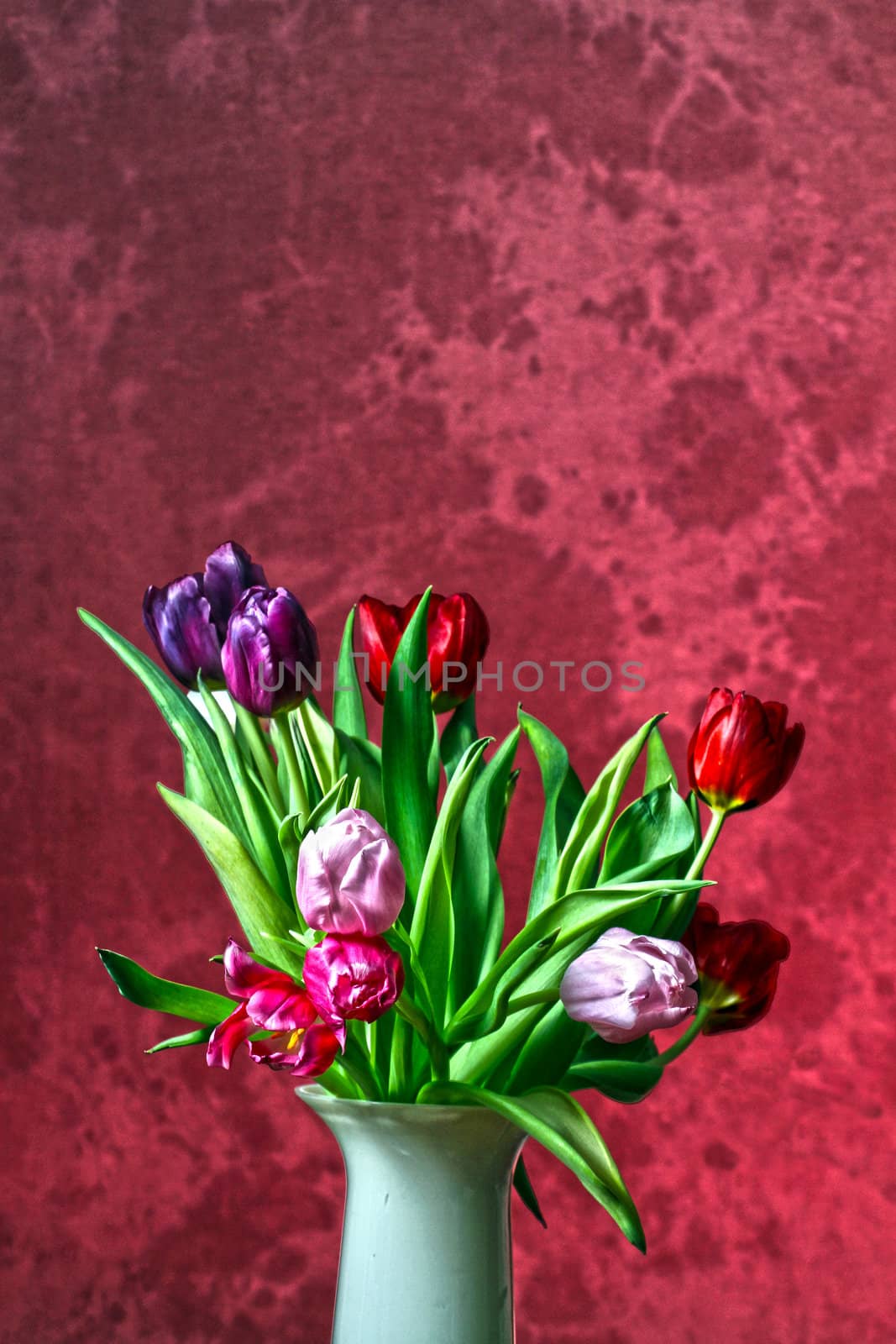 Bouquet of colorful tulip in a vase