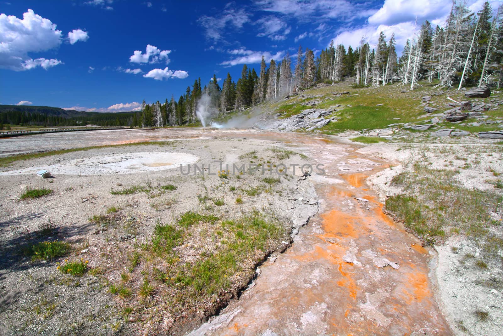 Geothermal features near Grand Geyser of Yellowstone National Park.