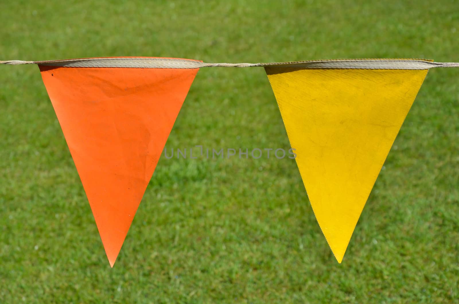 orange and yellow penants with grass background