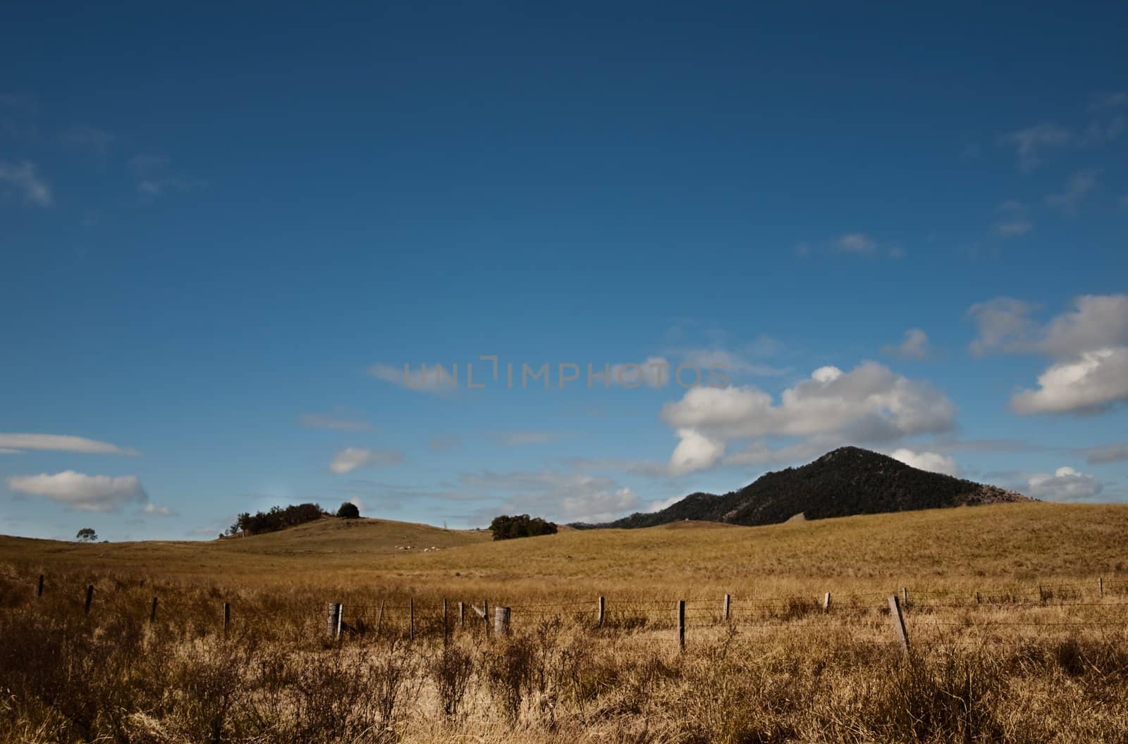 Australian dry winter pasture landscape by sherj