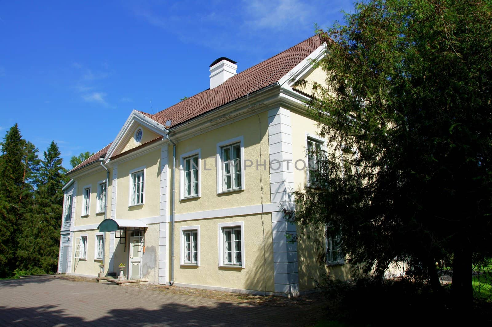 The house of manor on a background of trees