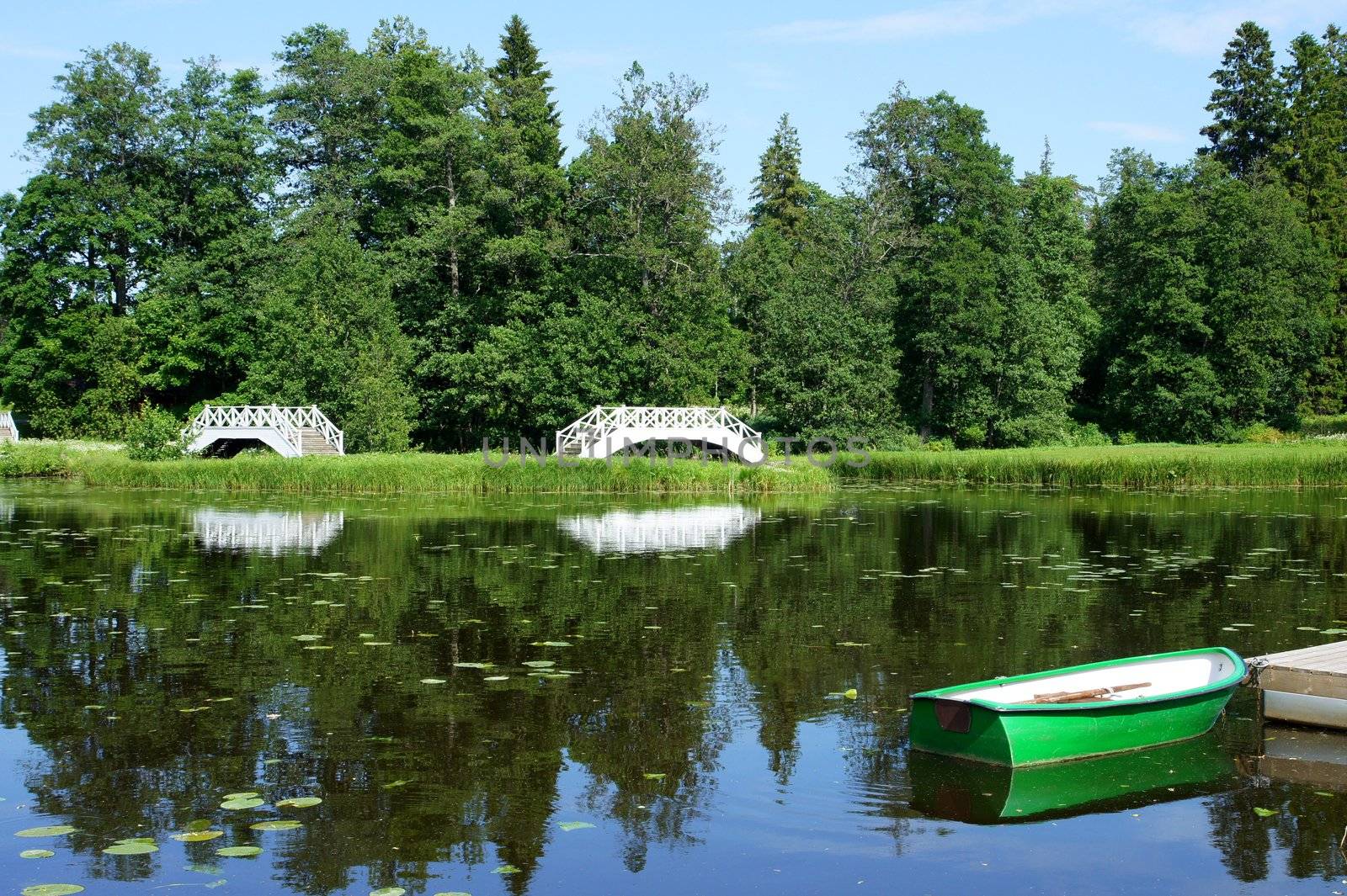 The white bridge on a background of a pond and trees