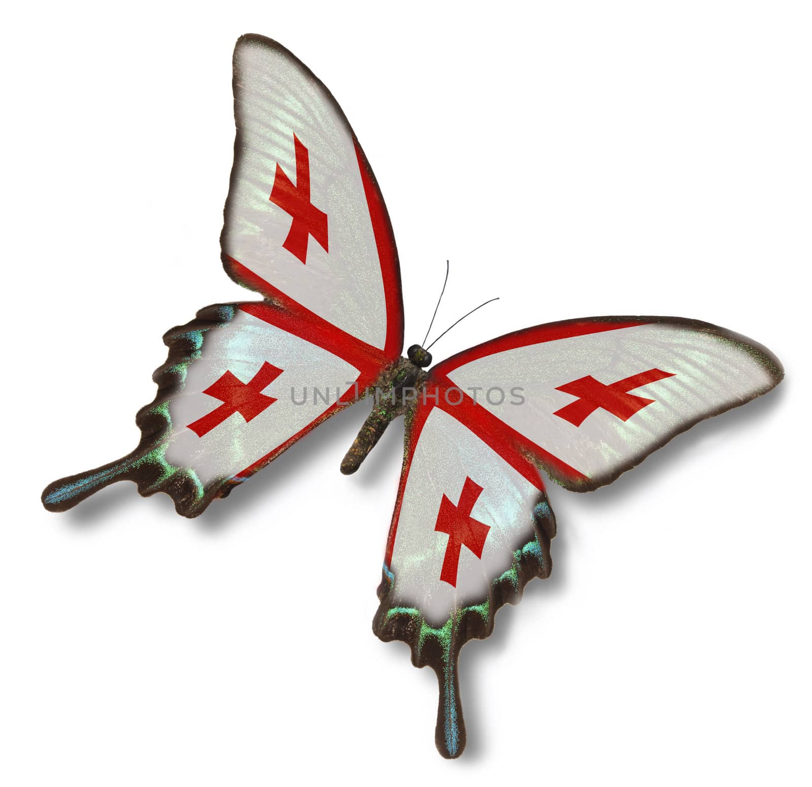 Georgia flag on butterfly isolated on white
