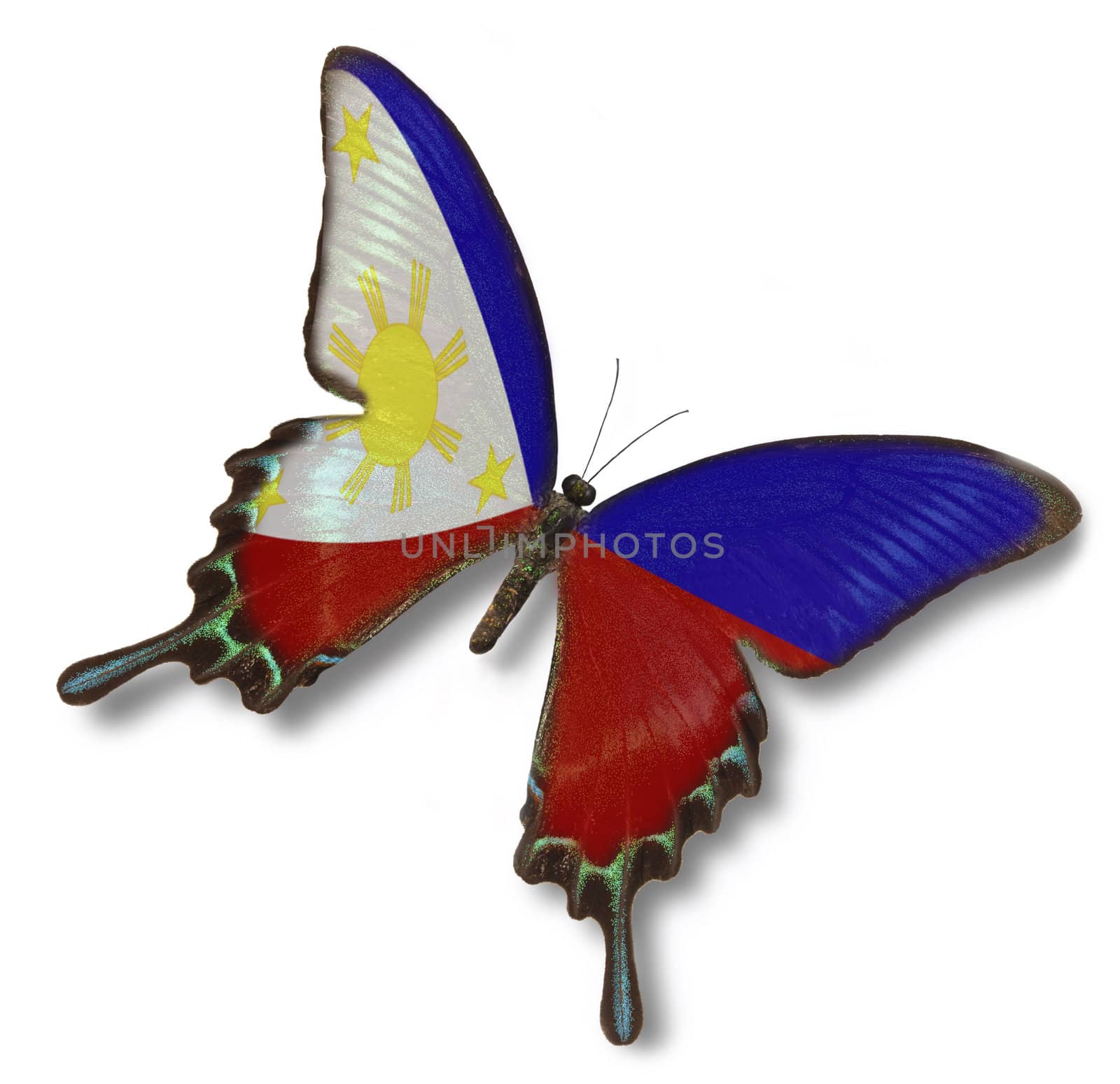 Philippines flag on butterfly isolated on white