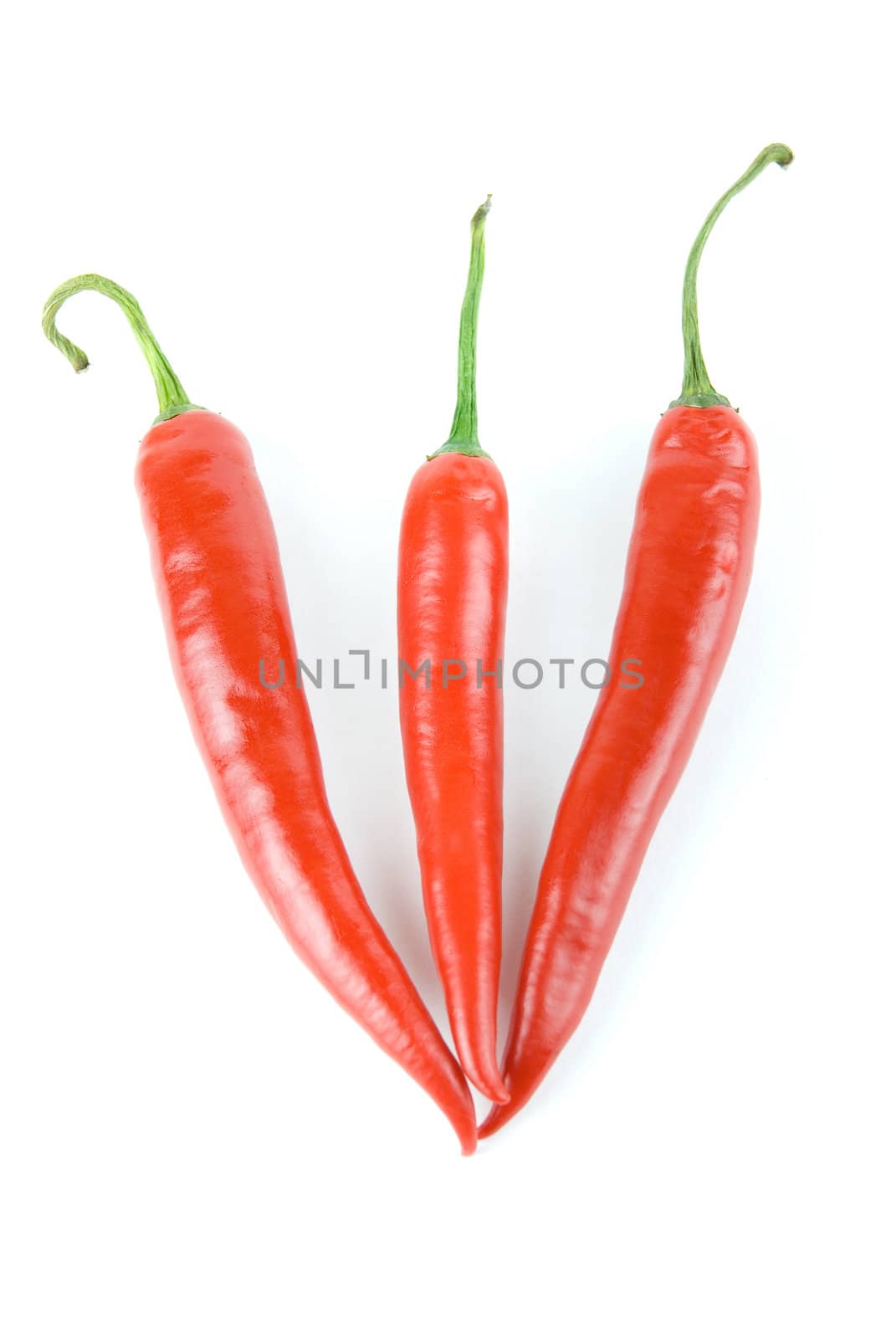 red hot chili peppers isolated on white