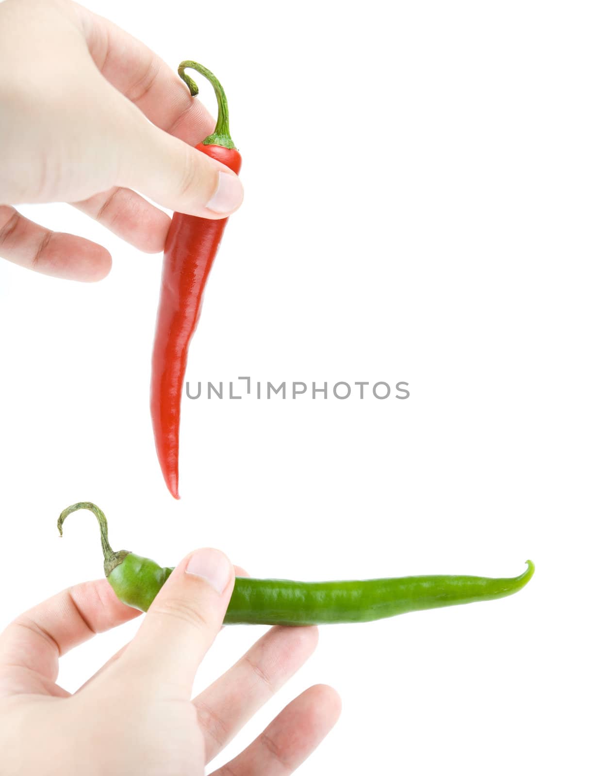 Hot peppers in hand isolated on a white