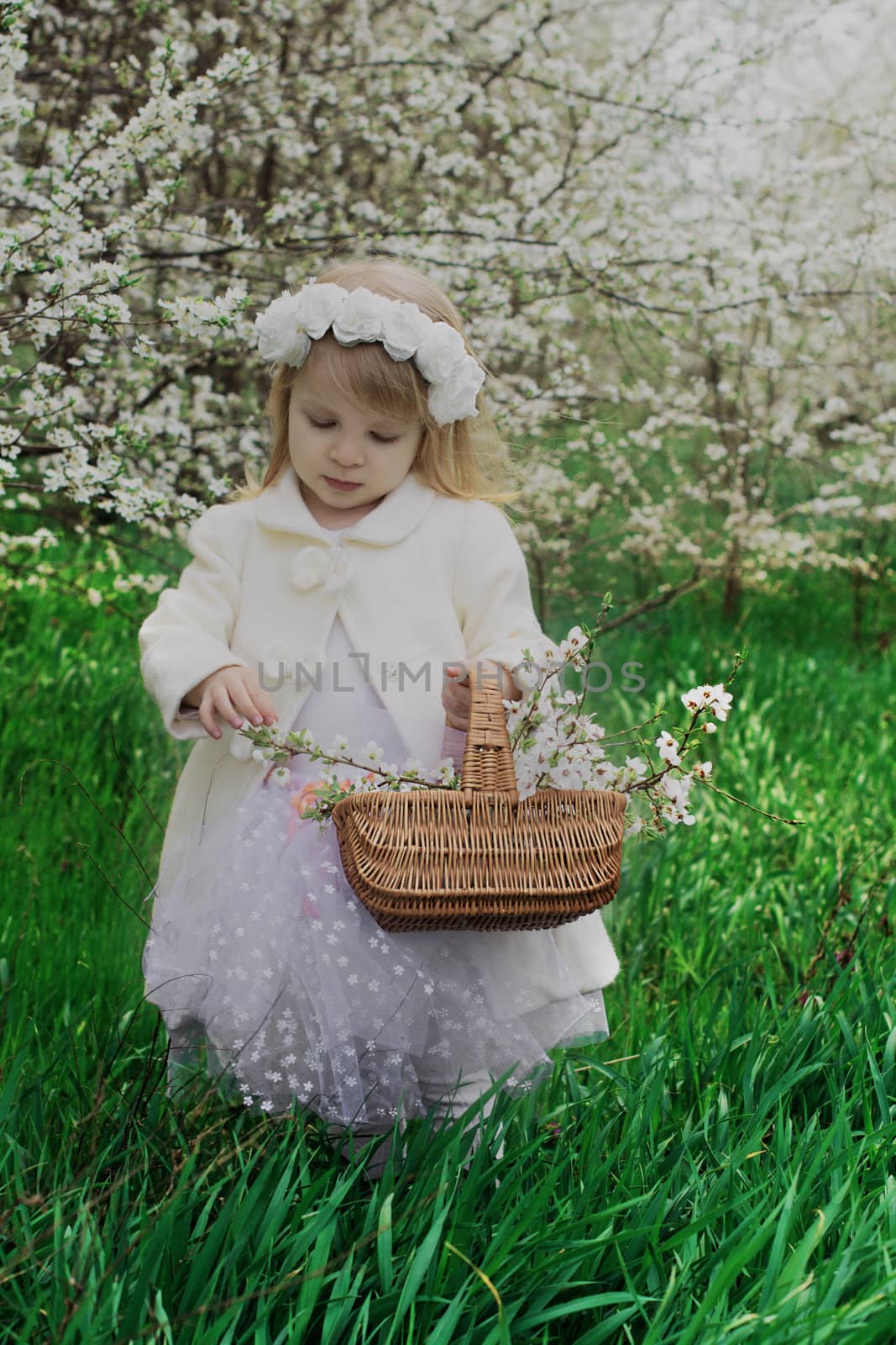 Baby with basket walking in spring blossom garden