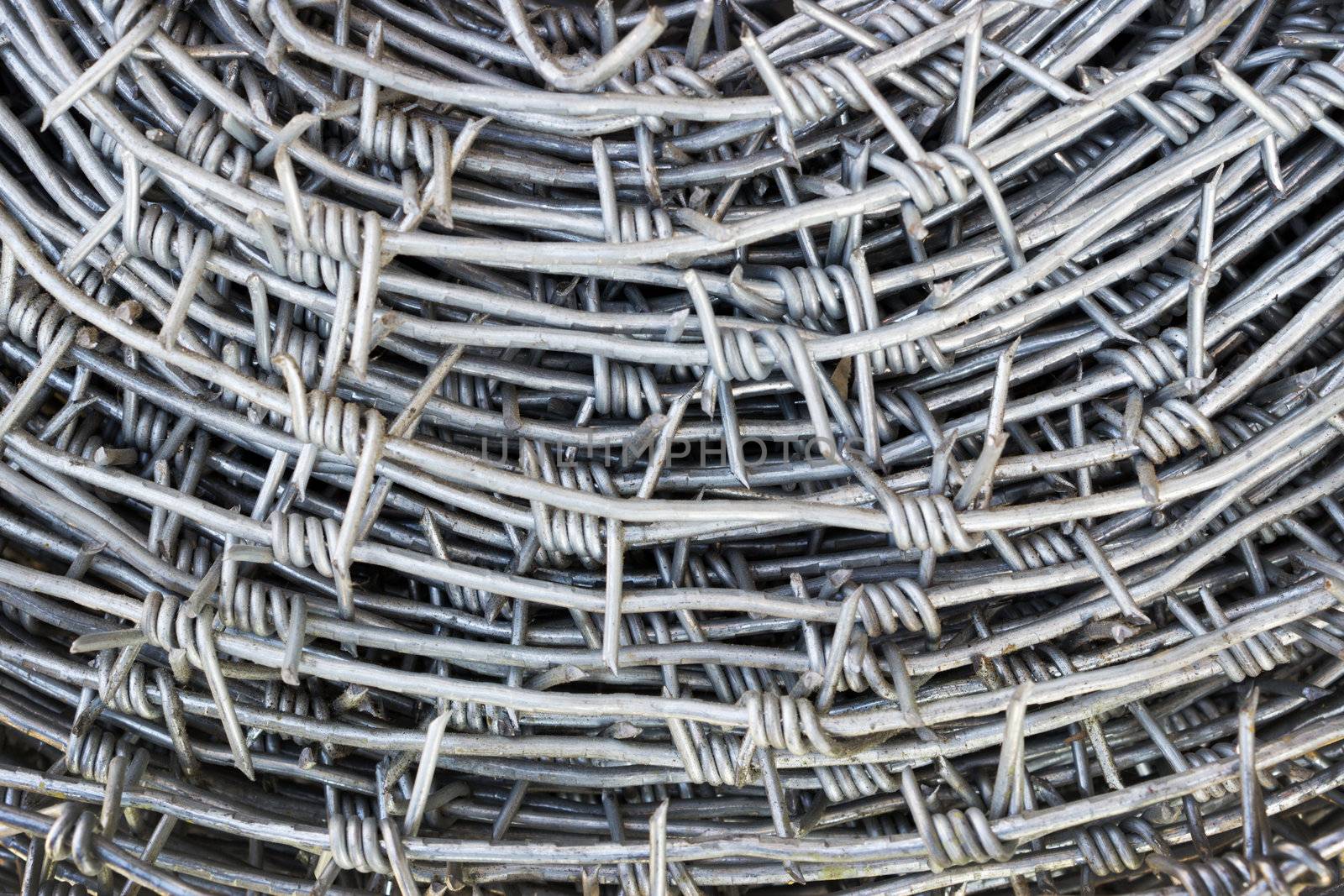 Stainless Barbed wire is coiled as a background