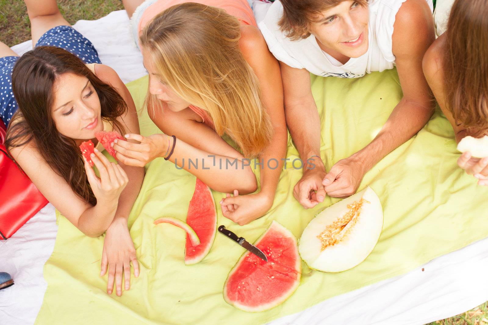 Friends on healthy fruit picnic at sunny day