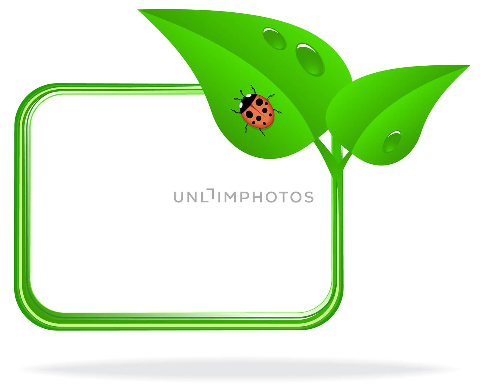 ladybug on green leaf by rodakm