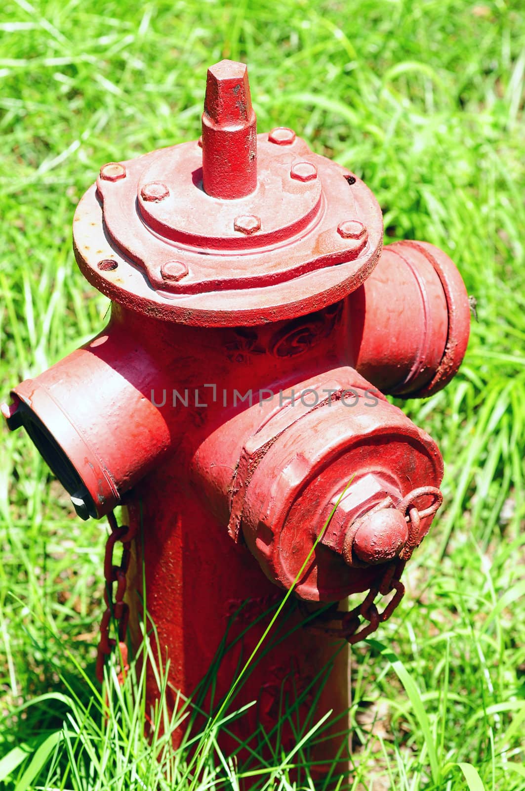 A red Fire Hydrant on the green grassland