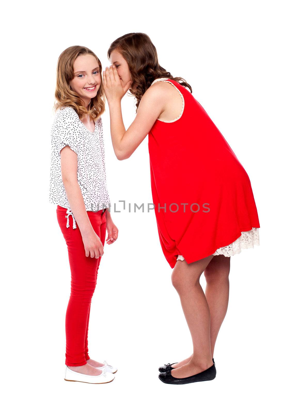 Girl whispering a secret into her friends ear. All on white background