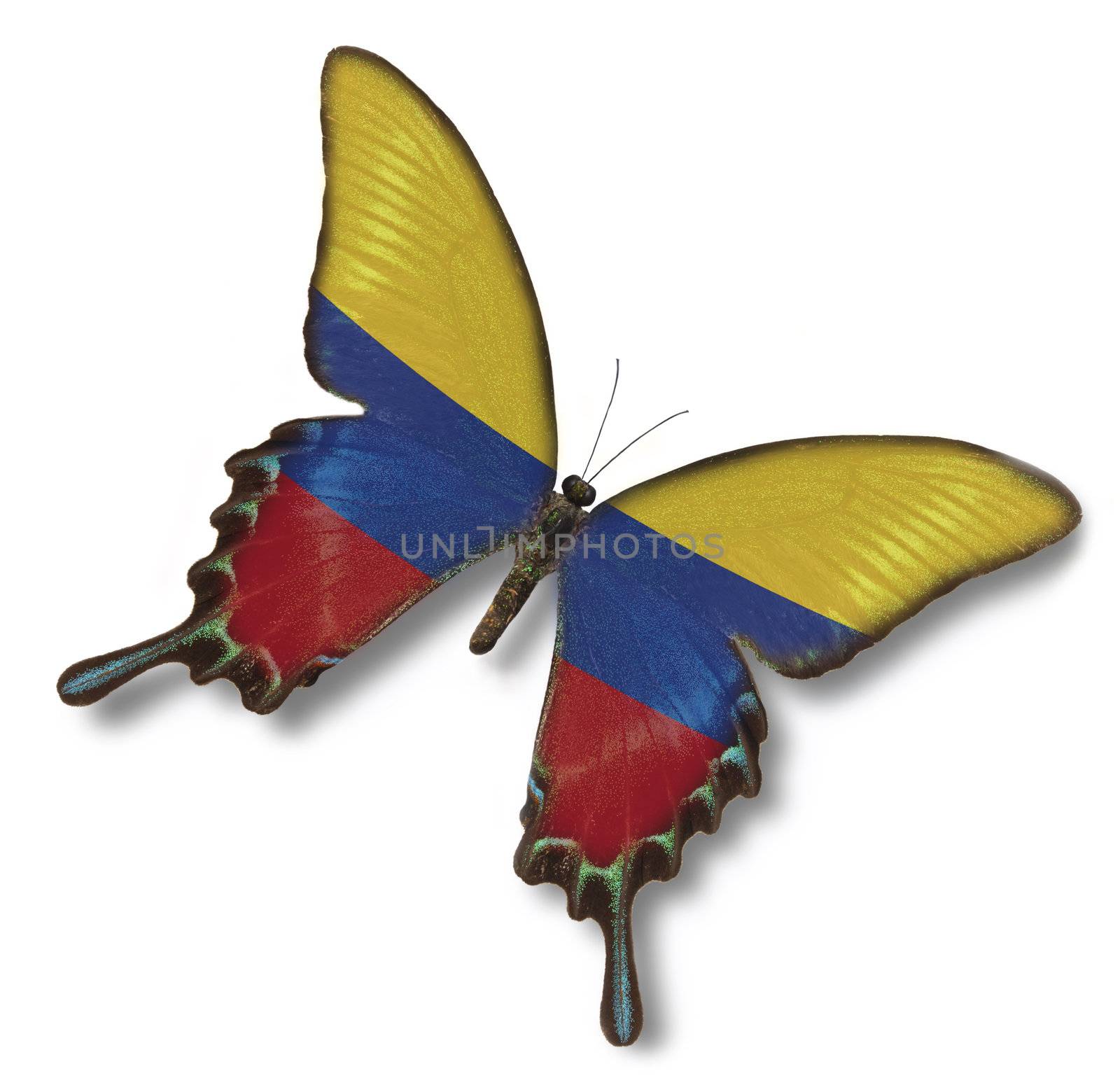 Colombia flag on butterfly isolated on white