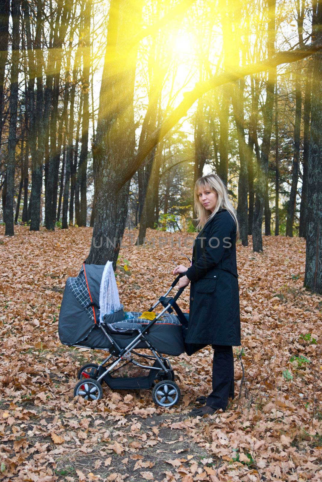Mother with   baby carriage Walking at the Forest in autumn