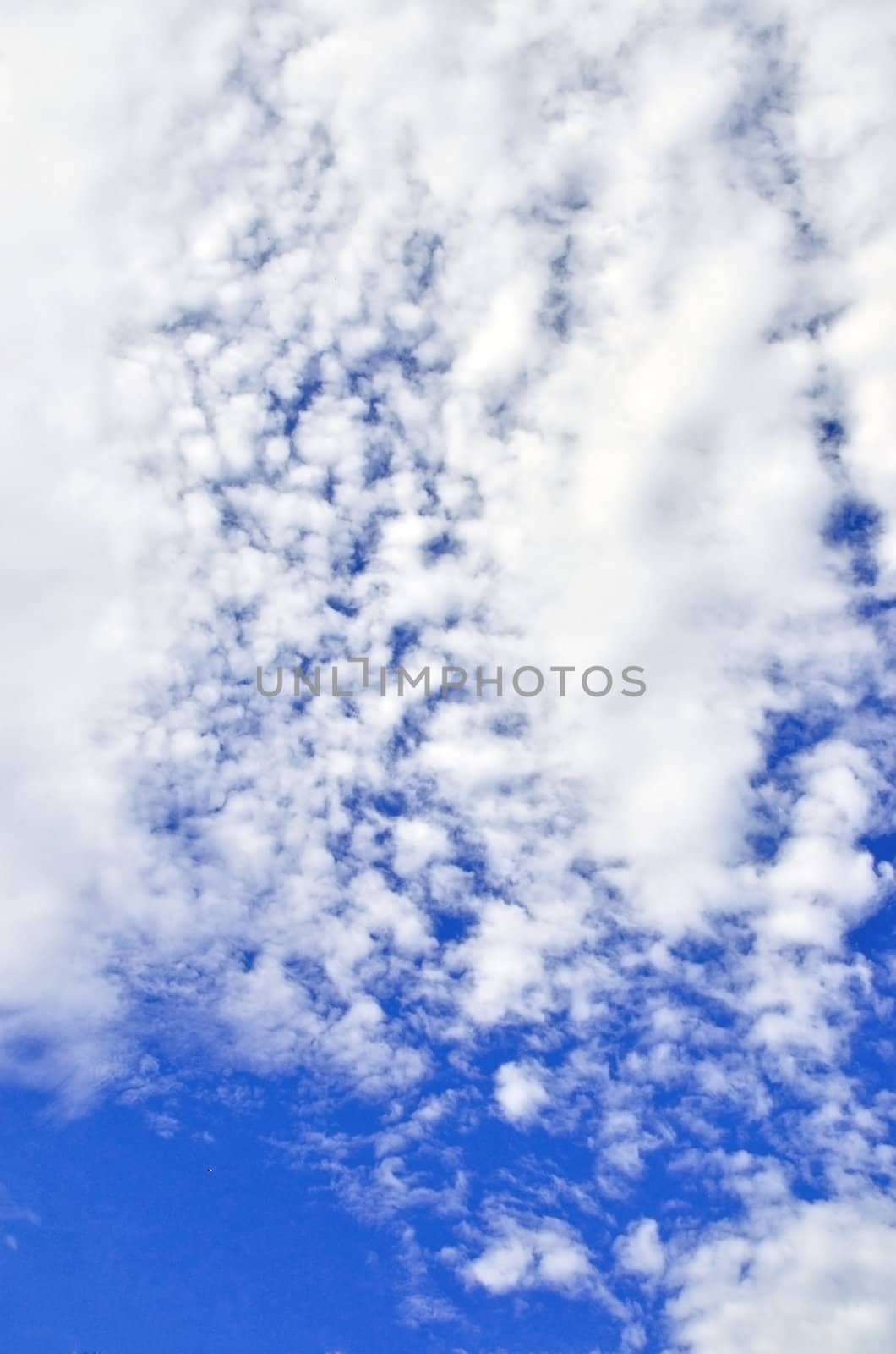 View of the summer sky with fragmented by wind clouds