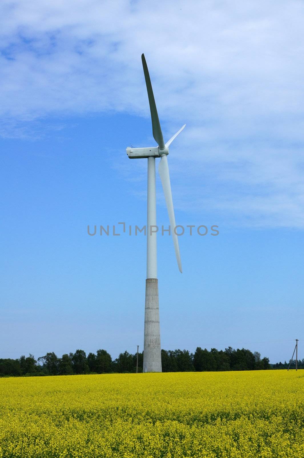 Wind turbines on a background of  blue sky